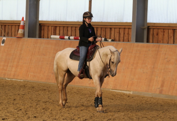 hpfixgal 2 bernd hackl kurs img 00061 15 09 2013 13 08 28