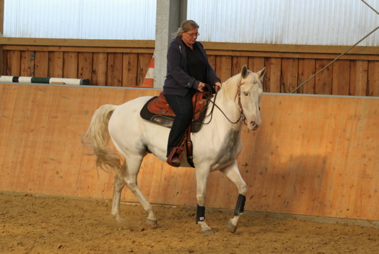 hpfixgal 2 bernd hackl kurs img 01011 15 09 2013 13 20 42