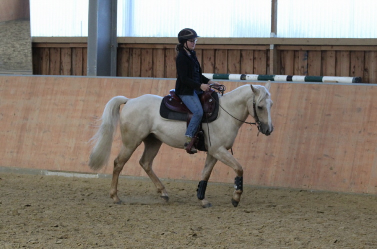 hpfixgal 2 bernd hackl kurs img 01191 15 09 2013 13 22 20