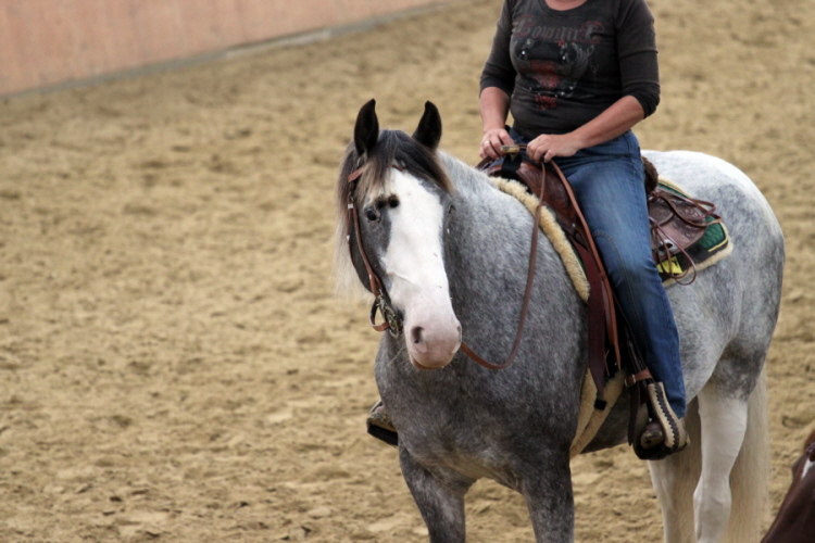 hpfixgal 2 bernd hackl kurs img 9395 15 09 2013 16 24 56