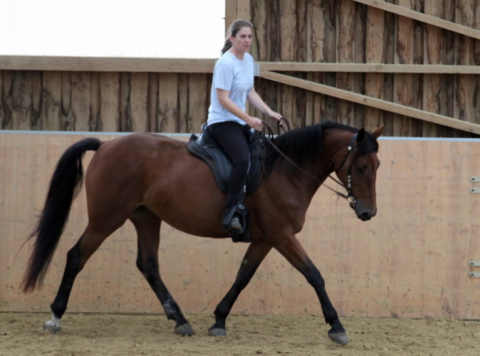 hpfixgal 2 bernd hackl kurs img 9652 15 09 2013 16 33 12