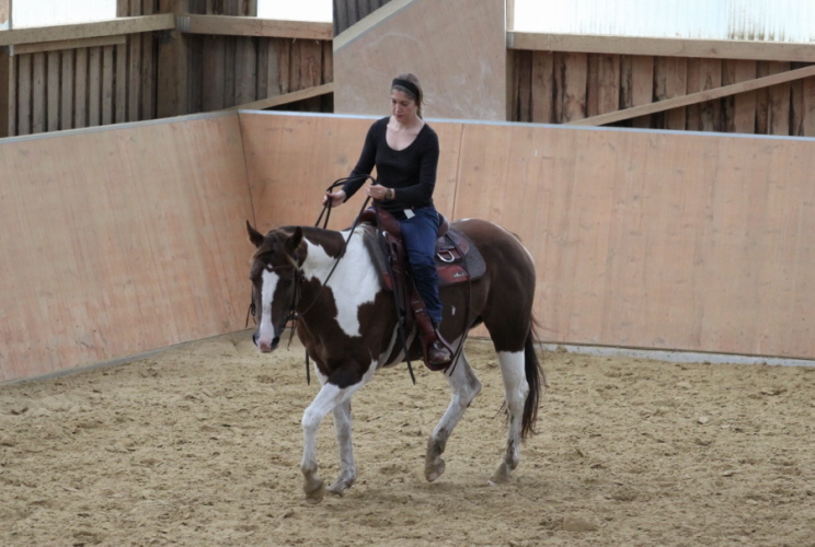 hpfixgal 2 bernd hackl kurs img 9704 15 09 2013 16 37 04