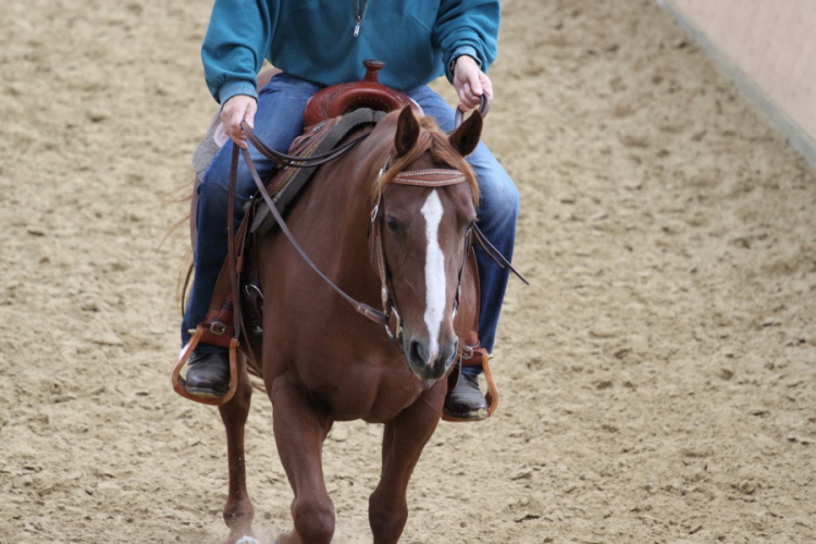 hpfixgal 2 bernd hackl kurs img 9940 14 09 2013 14 14 06