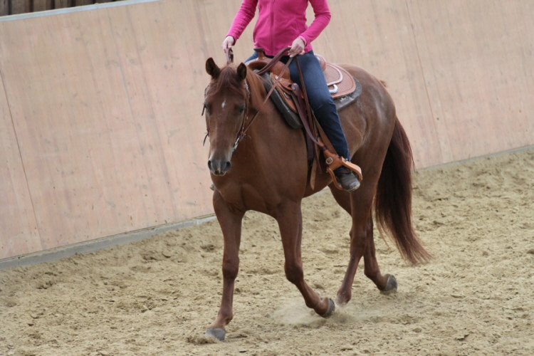 hpfixgal 2 bernd hackl kurs img 9950 14 09 2013 14 14 08