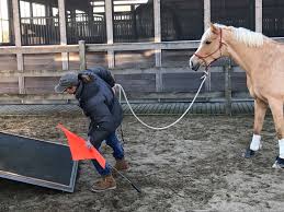 Horse Connect